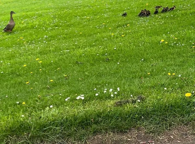 Woodside Nr Masham Prázdninový dům Grewelthorpe